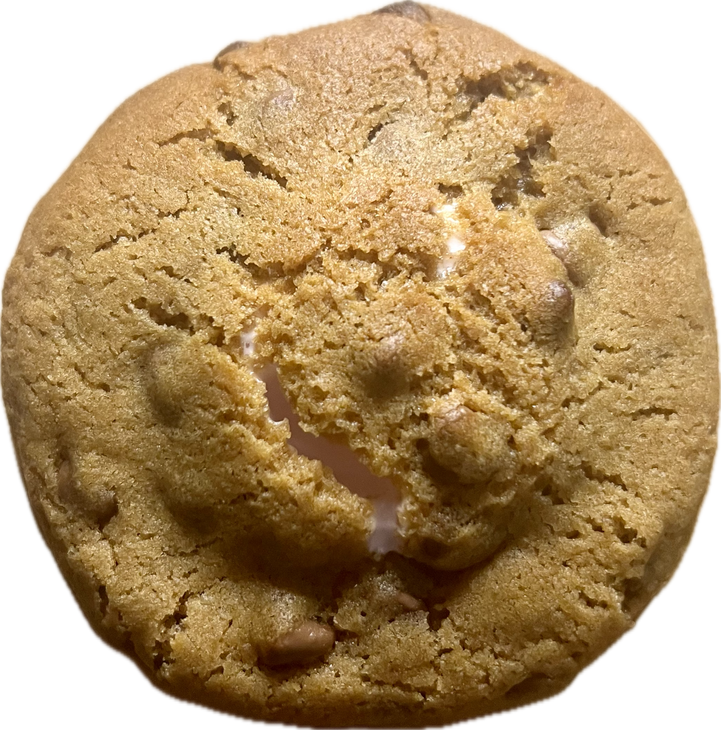 S’mores Cookie BATCH (12)