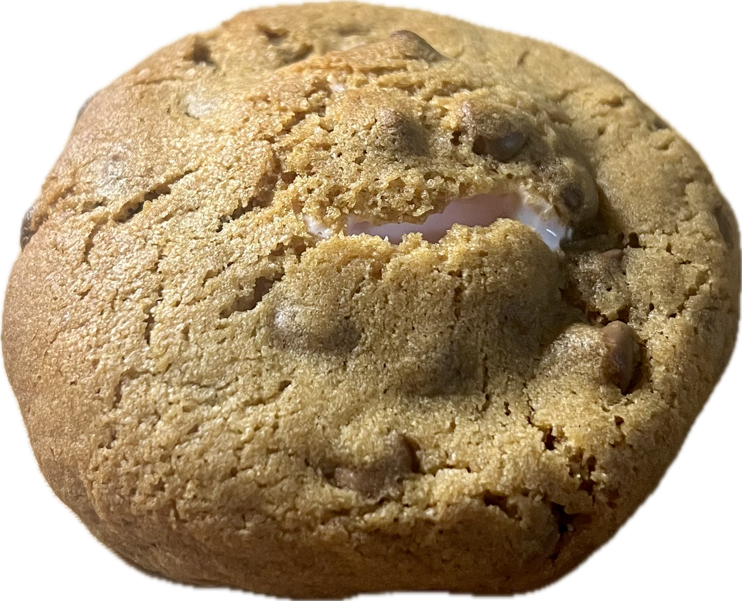 S’mores Cookie BATCH (12)