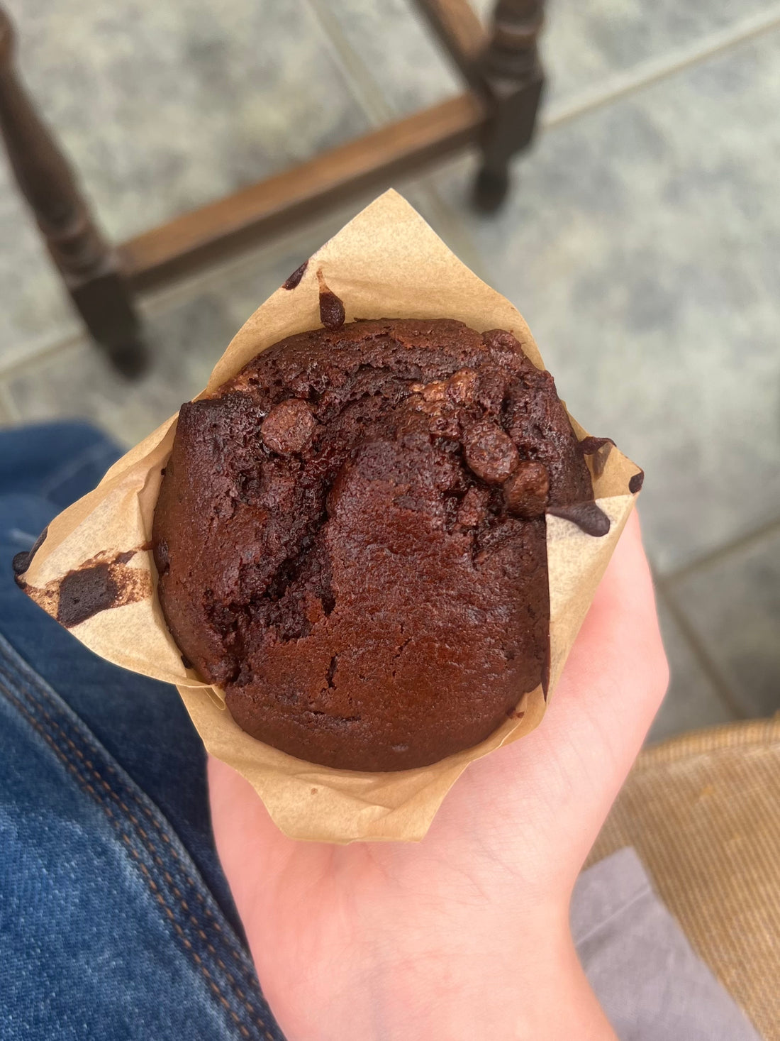 Double Chocolate Muffins