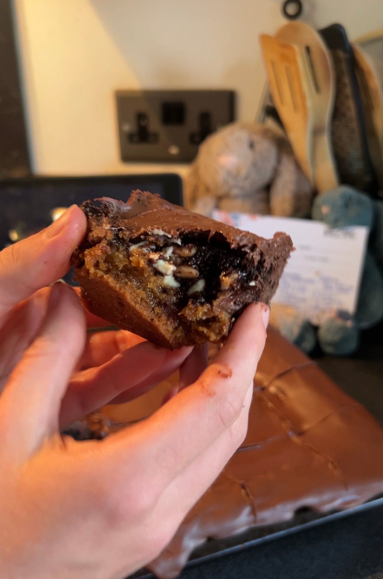 Chocolate hazelnut brookie BATCH